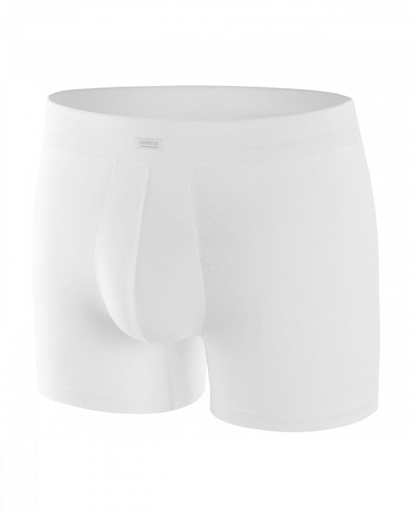 Boxer blanco de Impetus