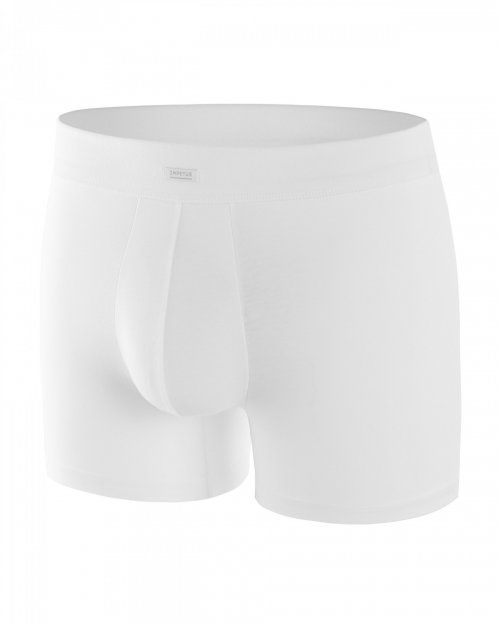 Boxer blanco de Impetus