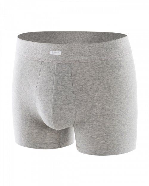 Boxer gris de Impetus